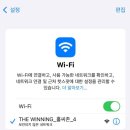 여름밤의 꿈