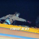 성실화물 이미지