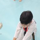 하임태권도장 이미지