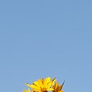 GS25진량공단 이미지