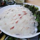 충청도7호 이미지