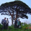 신원면-37 이미지