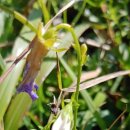 낙동강변9 이미지