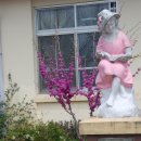 장현1리 이미지