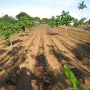 한주농장 이미지