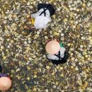 그린 크리닝 이미지