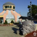 쌍도