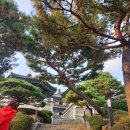 박순자 순대 이미지