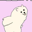 뚱강아지 이미지