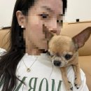 꼼장어먹으로가자 | 사랑 넘쳤던 나날들 >.< . . ♡ 과 시련..💢