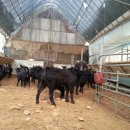 종부농장 이미지