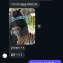 우석타워 | 내가머하고사냐면말이지