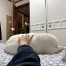 사동경로당 | 241109 전북 임실 백련산(with 장모님, 구름이)