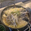 707 | 반려동물 동반 가능한 이자카야+펍 주점 맛집/ 707다이닝펍 후기