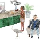 DMZ, 평화의 편지 이미지