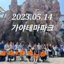 호랑이과학캠프 이미지