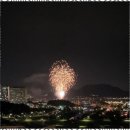 슬기로운공인중개사사무소 | 나성동주상복합 세종시 부동산의 진정한 파트너, 슬기로운공인중개사사무소