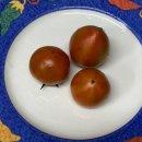 경민농장 | 농라 경민농장 미니짭짤이토마토 2.5kg