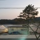 대교굴구이
