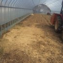 오계농장 이미지