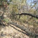 강동-길동-12 이미지