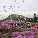 진분홍빛 철쭉으로 물든 천상의 화원, 장흥 제암산 안내 이미지