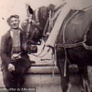 봉비마을2 이미지