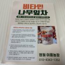 이룸푸드 | 콜레스테롤에 좋은 비타민나무잎차 영월이룸농장 제품 후기 (디카페인, 인체무해 티백, 무농약, 임산부...