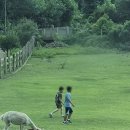 평안목장 이미지