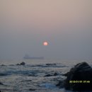 솔잎향기 이미지