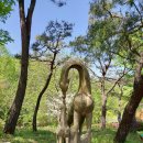 #대운산악회 제230회차 정기산행&amp;야유회# 이미지