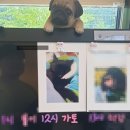 포포즈 반려동물장례식장 양주점 이미지