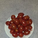 당산보부상 | 🍅 신선하고 달콤한 [농장직송] 고당도 스테비아 방울토마토 500g 후기✨
