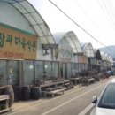 이천시민다육