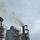 상승도장 이미지