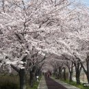 맥도생태공원 이미지