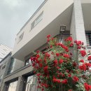 먹보와 야매 다이어터 암튼 그 사이였던 5월..(부제 : 새로운 시작?)