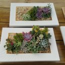 명원농장 이미지