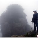 산길따라 이미지