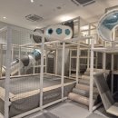 주식회사 세종스파찜질방 | 세종 엠원업 스파 찜질방 후기, 혼자 반나절 힐링 타임