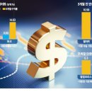 찜케어 이미지