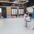 신주례태권도 체육관 이미지