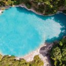 와이마켓 이미지