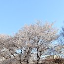귀엽댕 이미지
