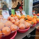 향토오일시장 내