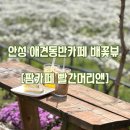 팜카페빨간머리앤 이미지