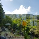 로히메르시 이미지