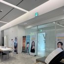 브이의원 | 브이의원 강남점 지방분해주사 1회차 솔직 후기 (팔뚝·복부·허벅지 안쪽·승마살) 내돈내산