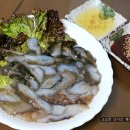해삼 이미지