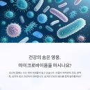 마이크로열쇠